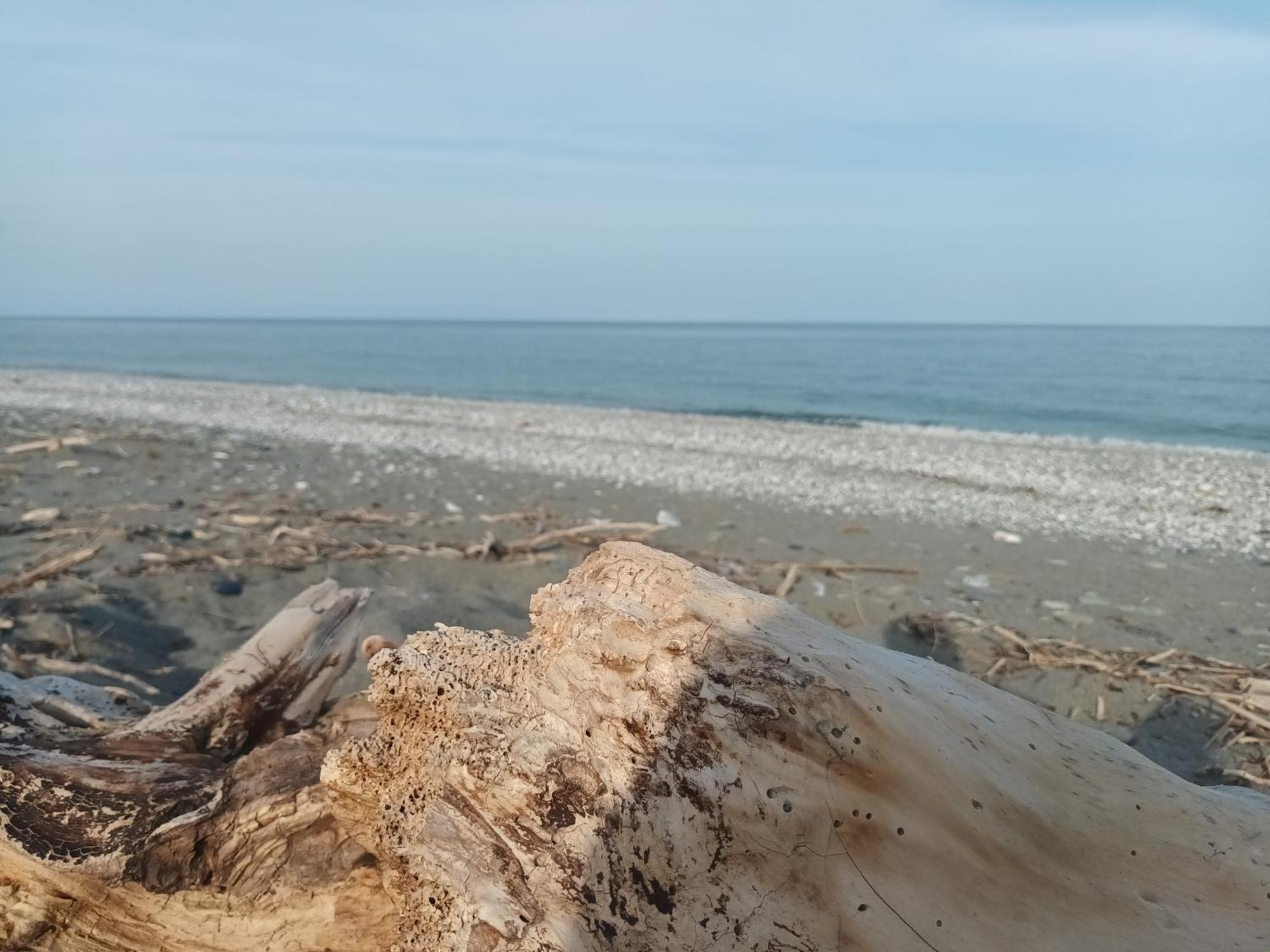 Velika Beach Rooms Esterno foto